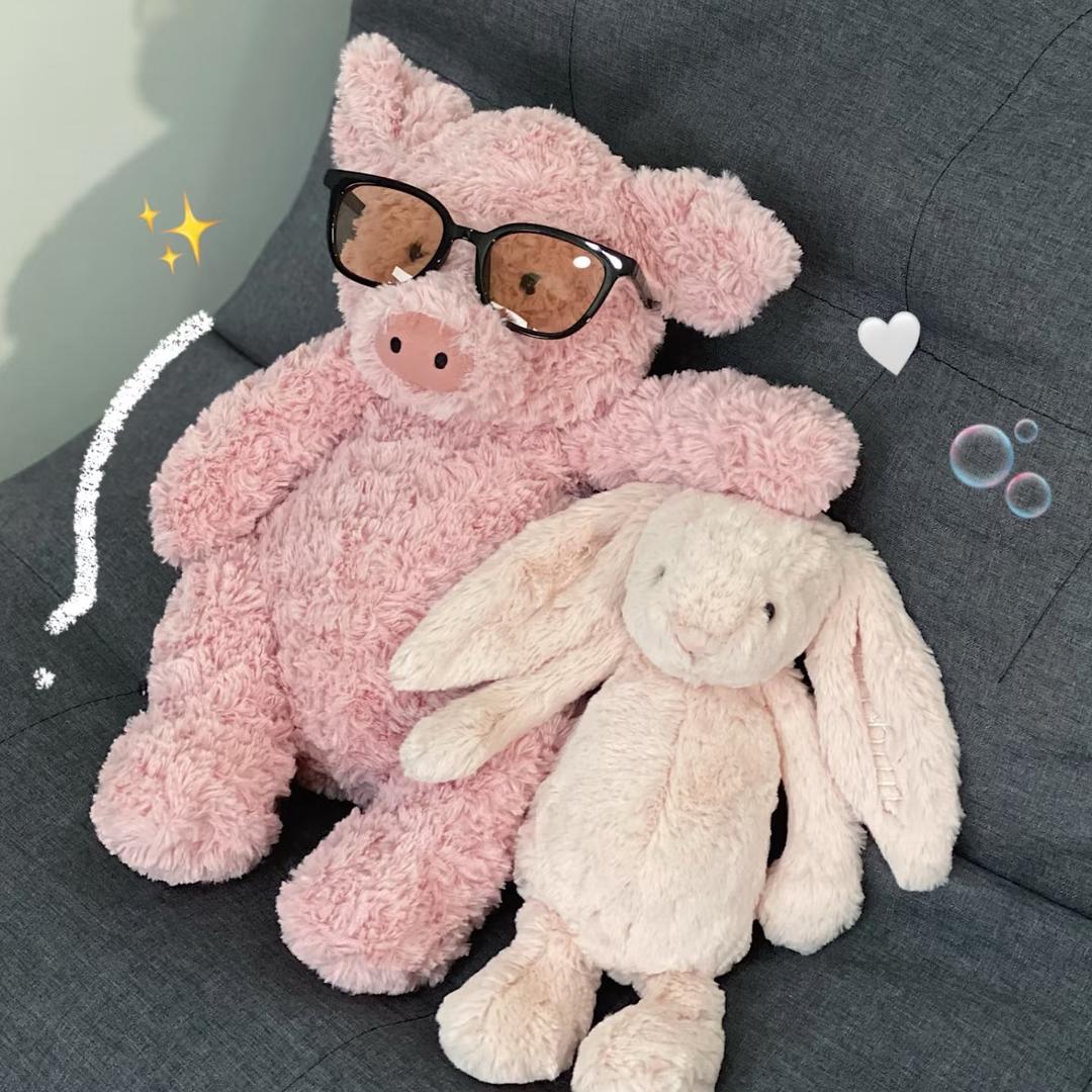 🐷🐰