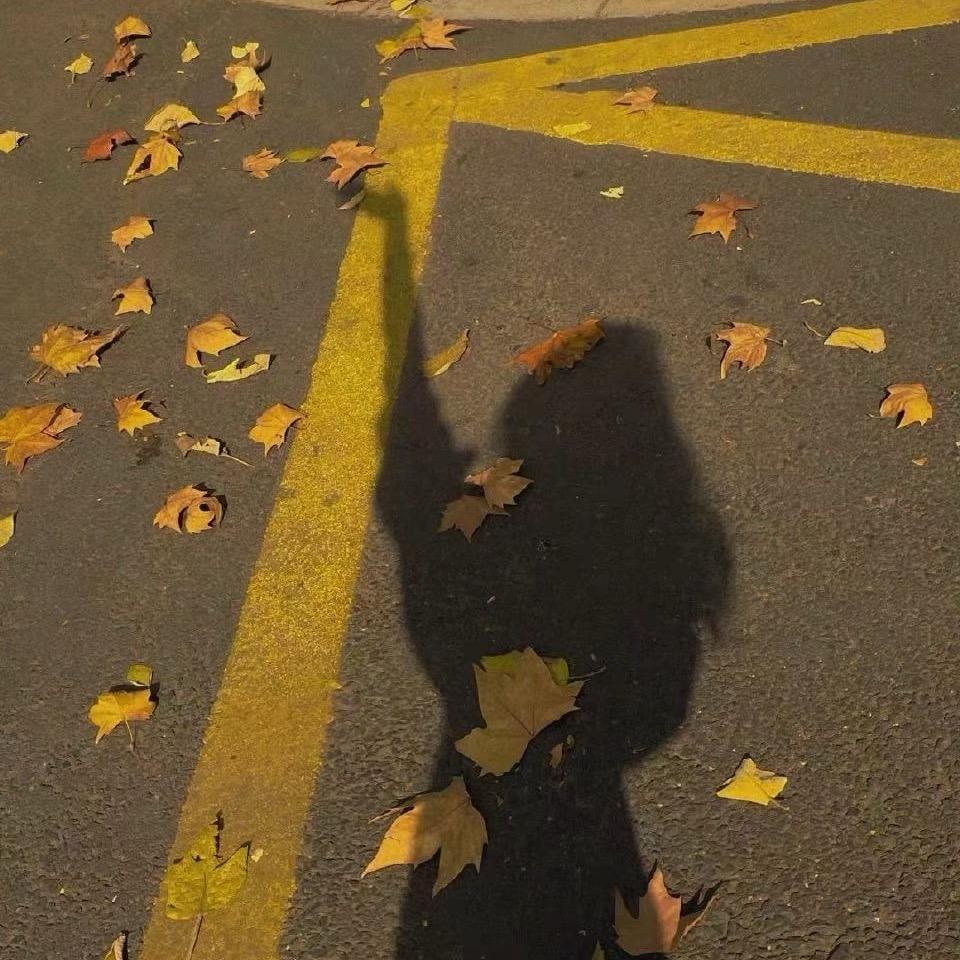 大国寻物