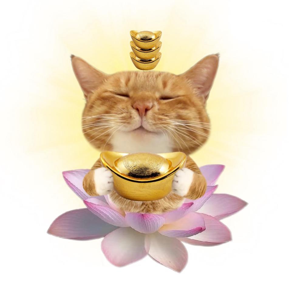 蛤蟆的第二滴尿