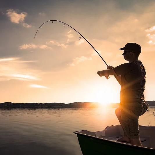 年年有鱼🎣