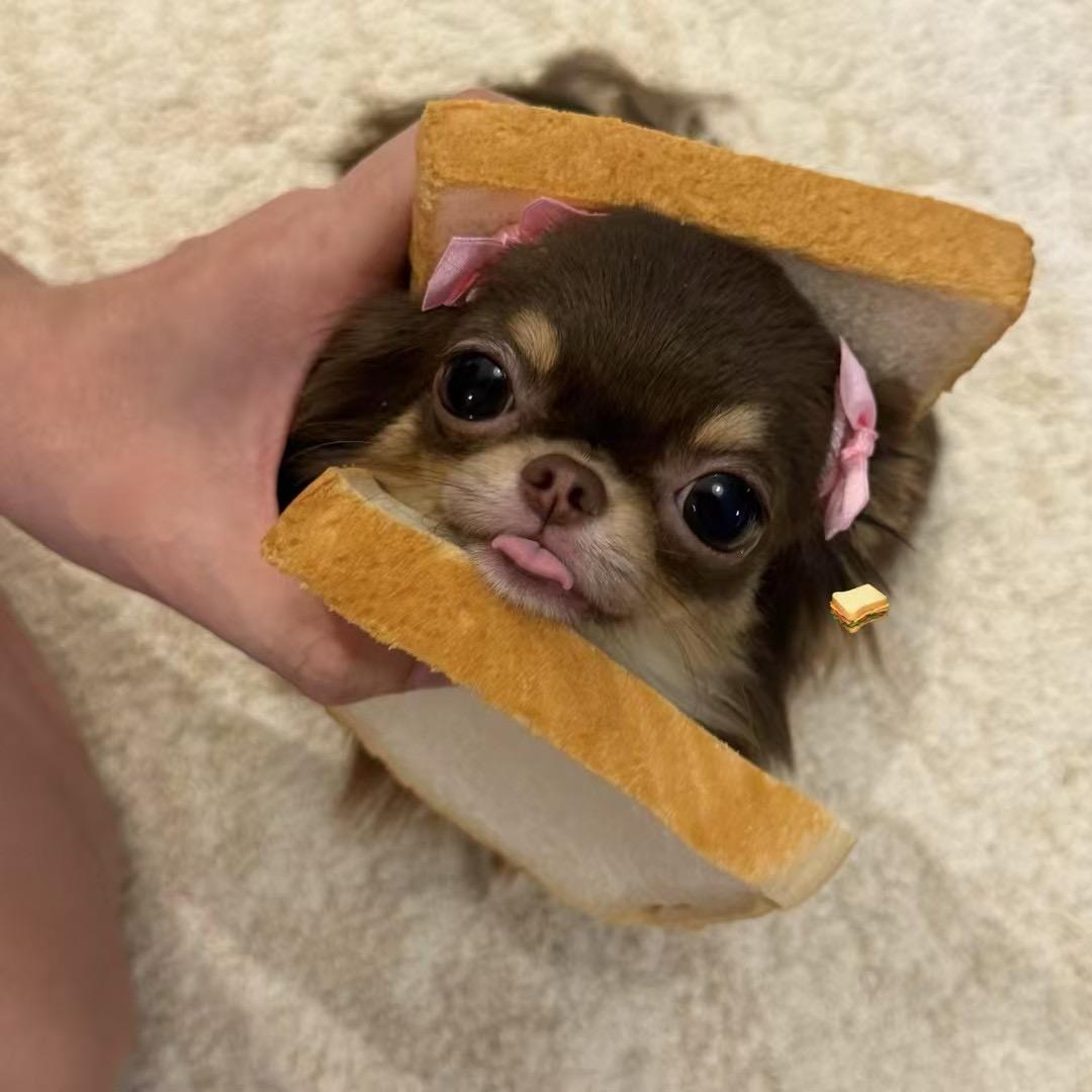 早睡做得到^-^