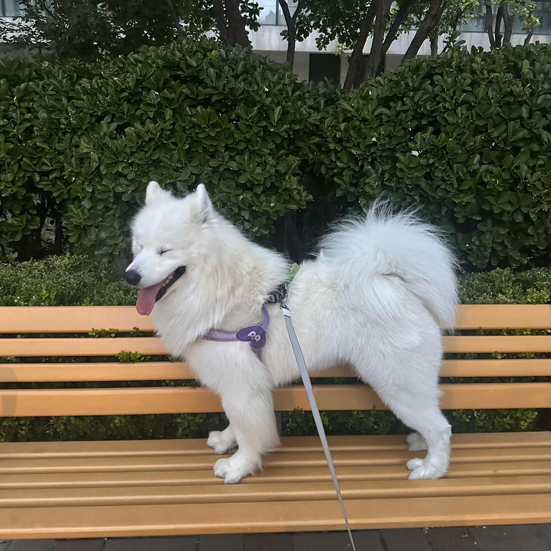 小乖很乖🥰