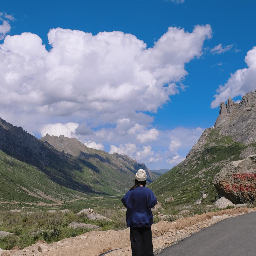 佛系小杨很上进