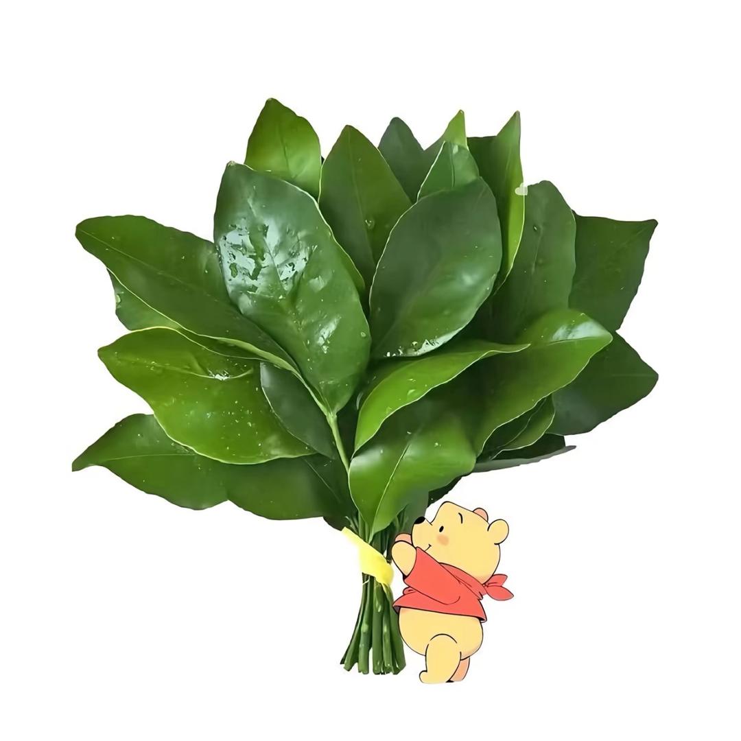 漁头汤🥣