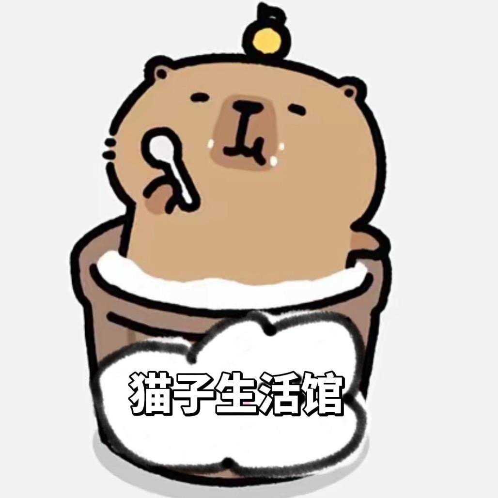 四季青猫子生活馆