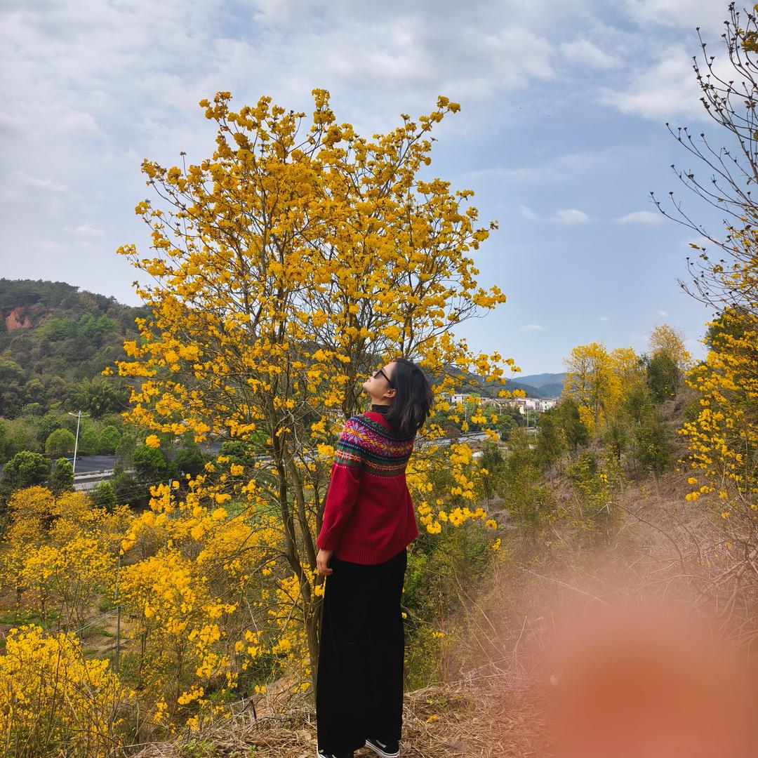 潘𝓅𝒶𝓃 ᥫᩣ