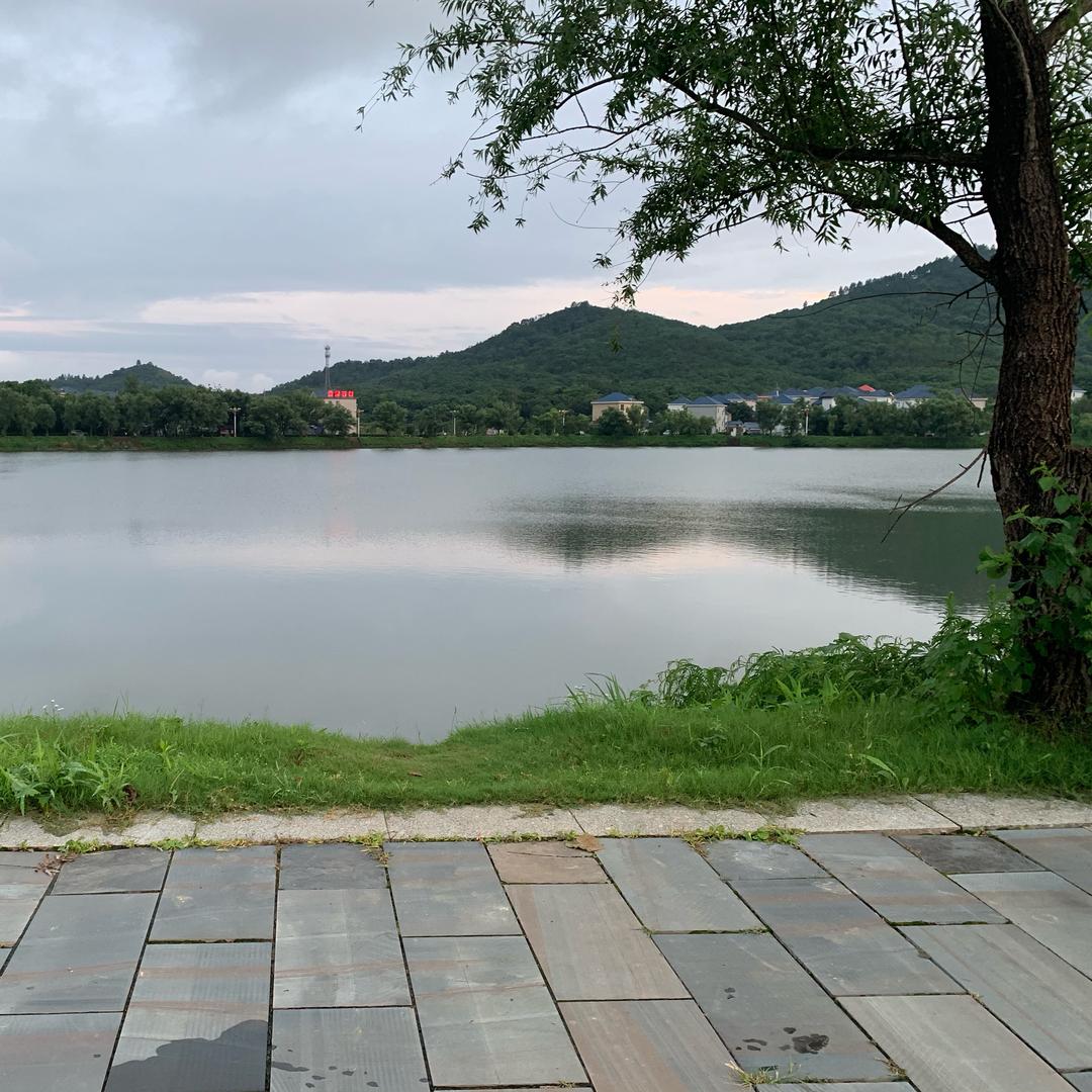 云想依裳🦋☘️
