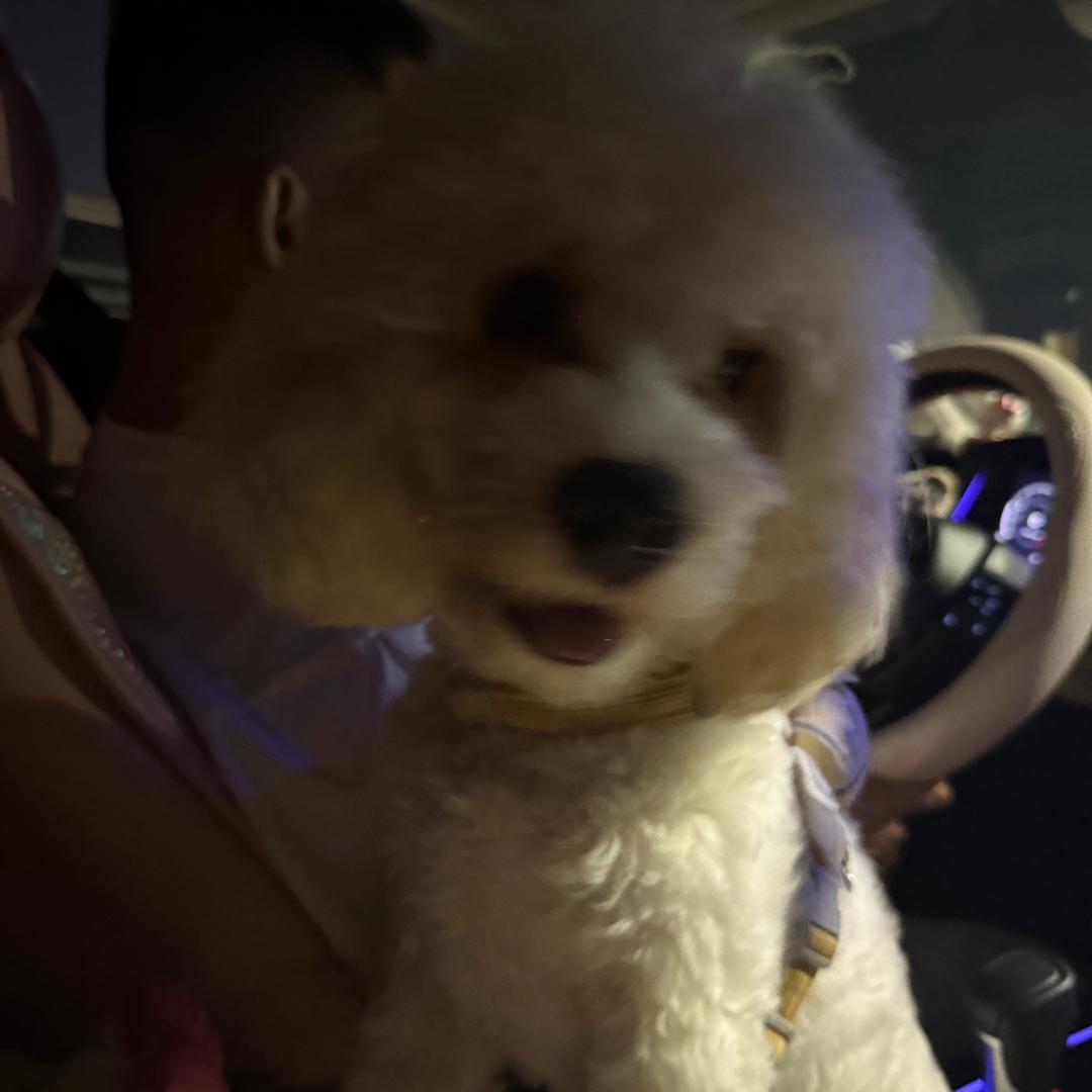 …