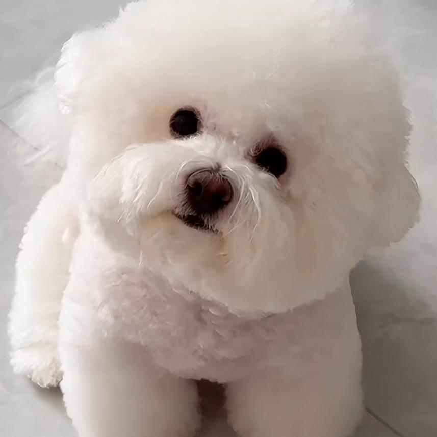阳杨