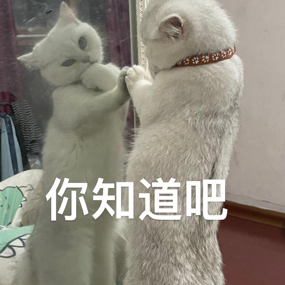 不好意思喔@抖音