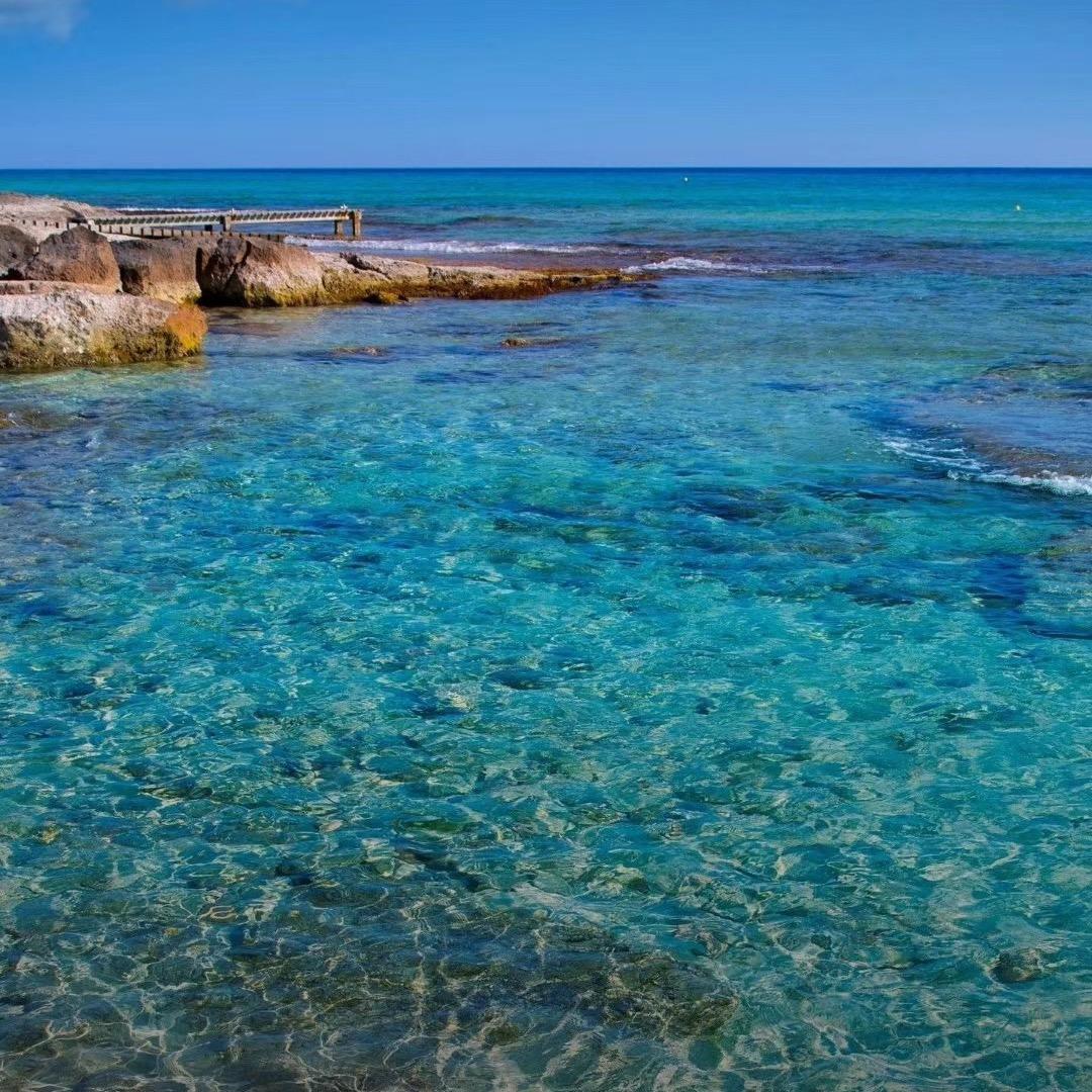 挖机小六轮出租