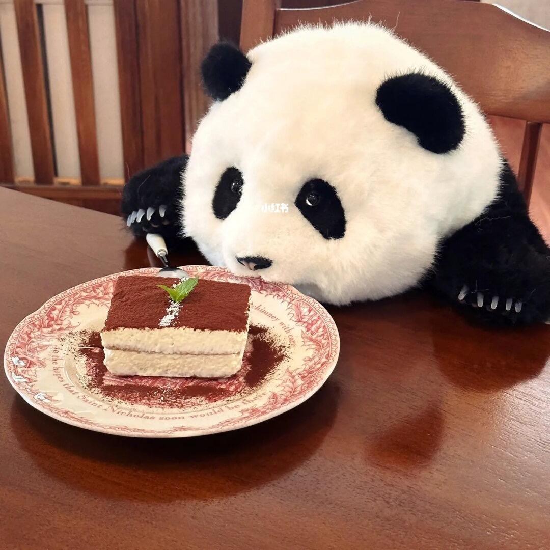🐼熊猫小铺 客官您常来
