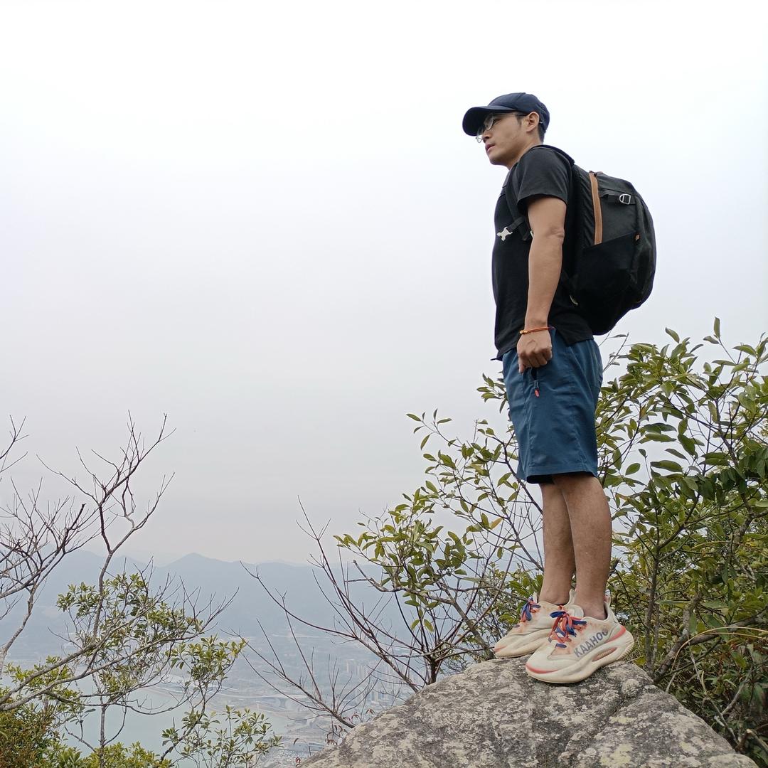 且停且忘且从容