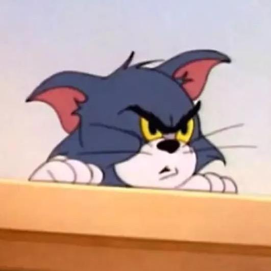 二郎山山大王🦖