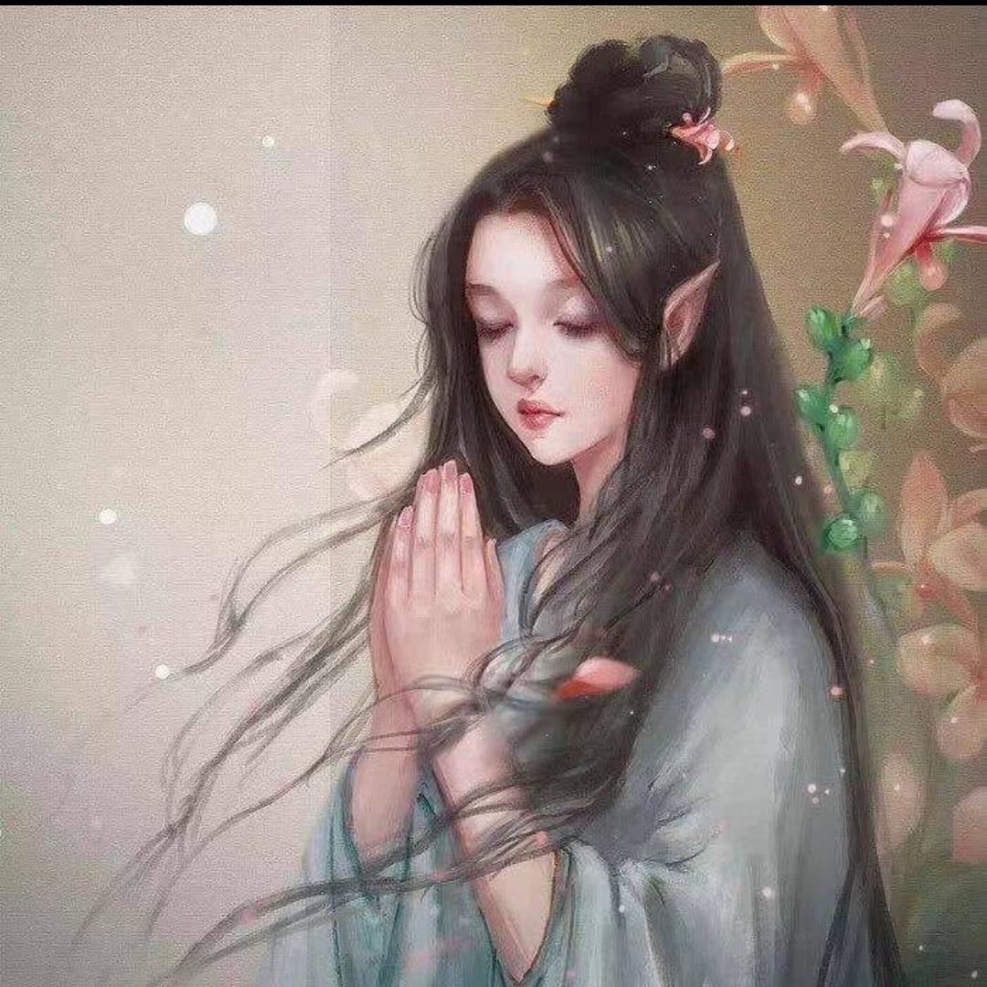 🪷菡·静📿（不闲聊）