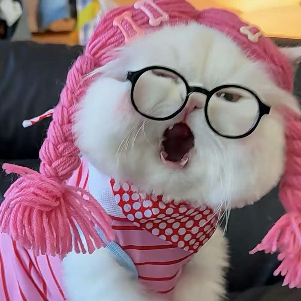 Evelyn、爱吹号的小伊