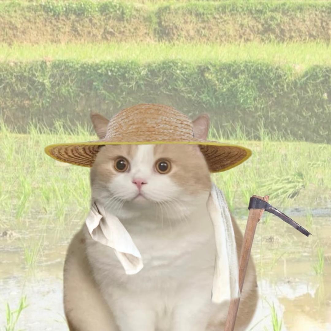 地上捡吃的