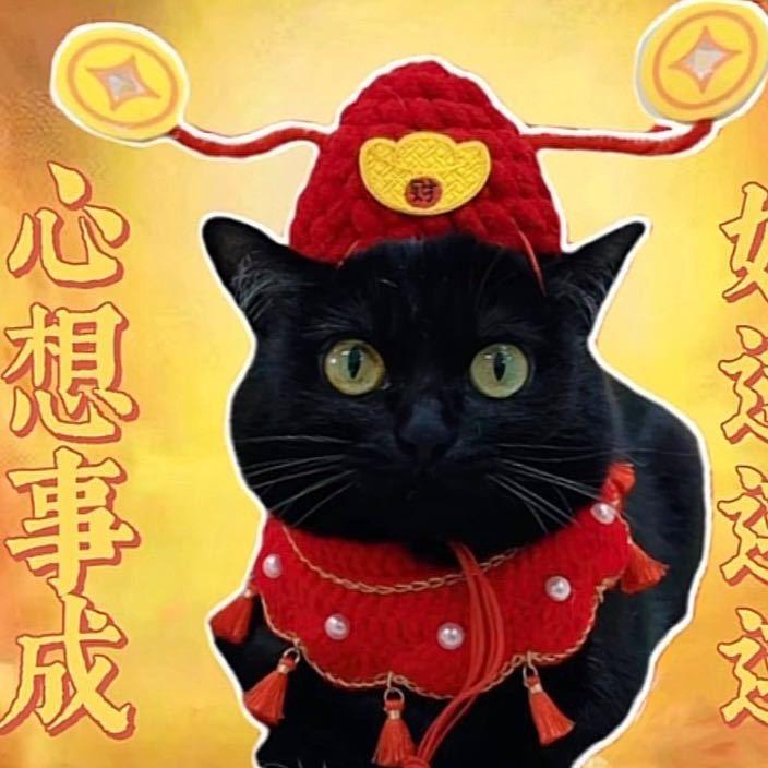 岳芙祯🌱
