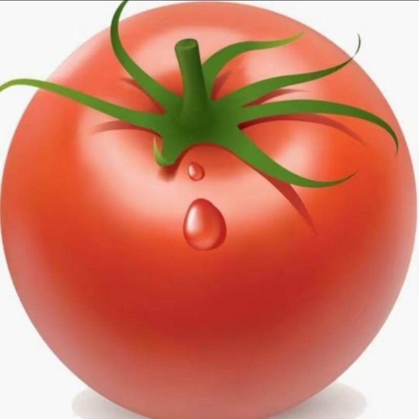 番茄大侠🍅