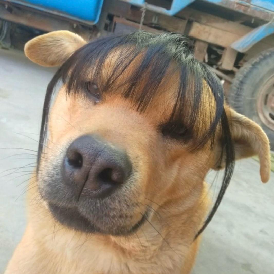 满山猴子你腚最红