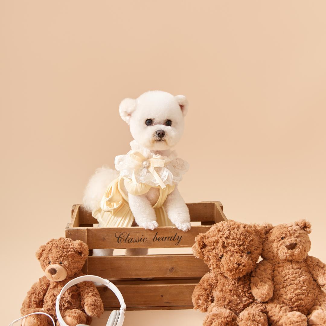 小甜心是陈honey