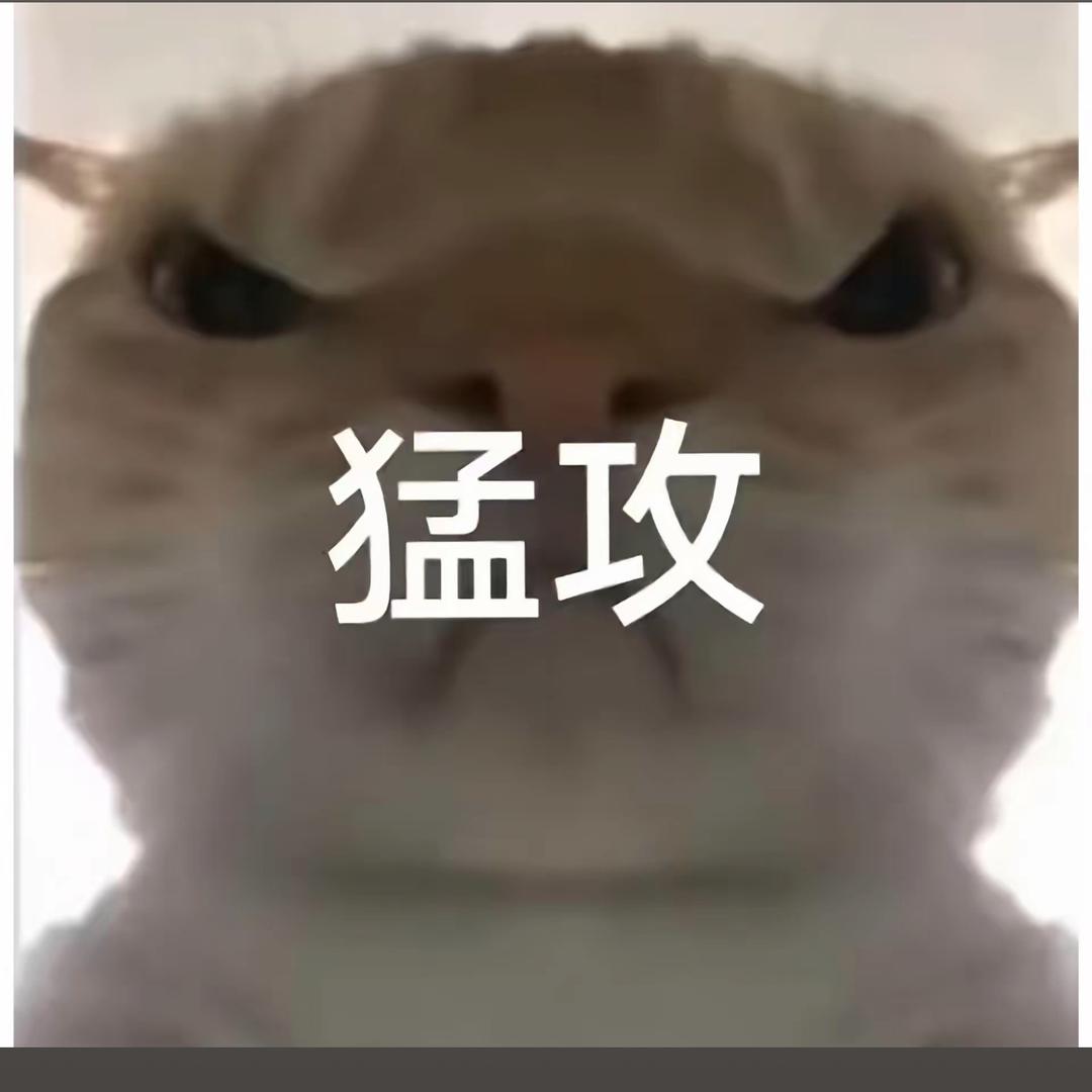 小rua（三角洲行动）