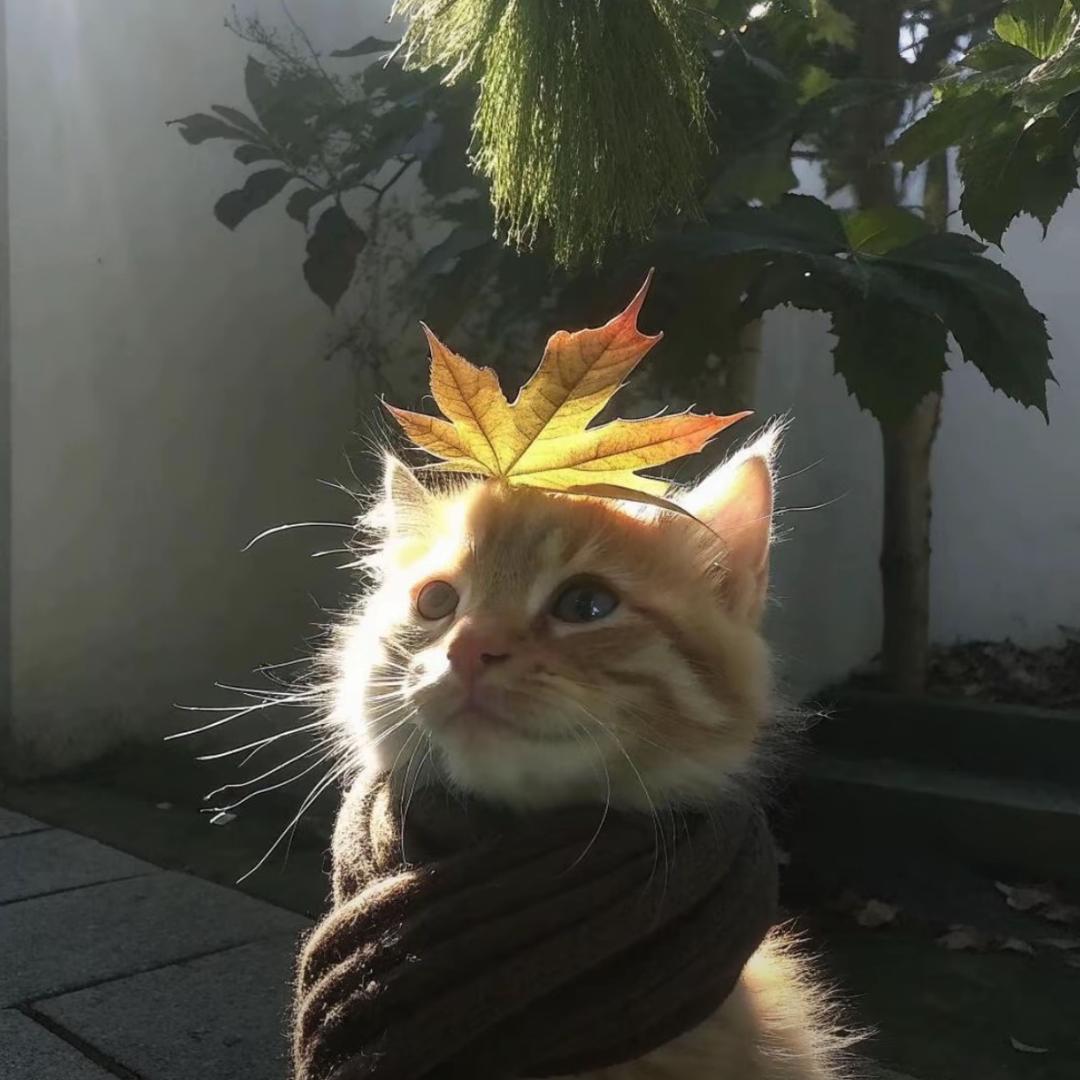 梨涡远点