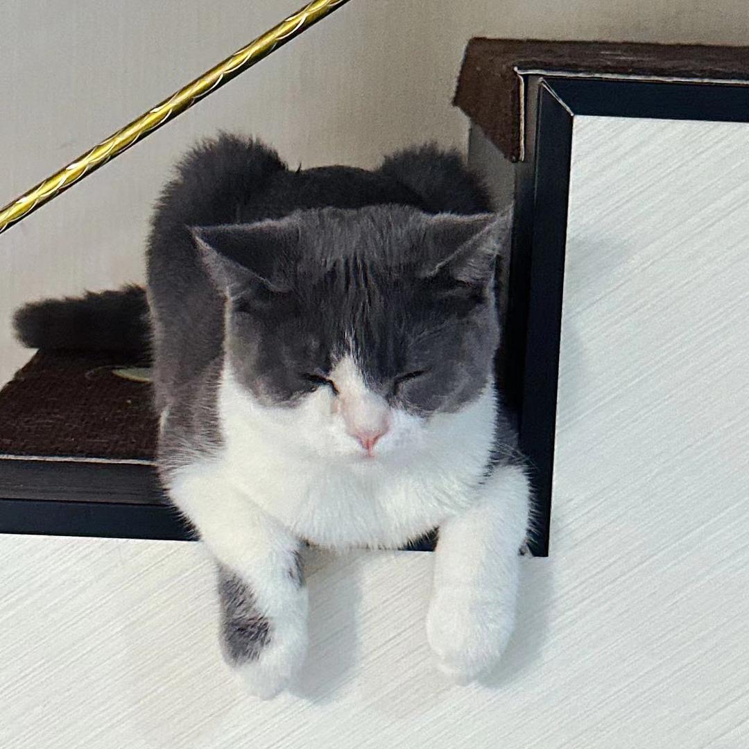 手捧心河