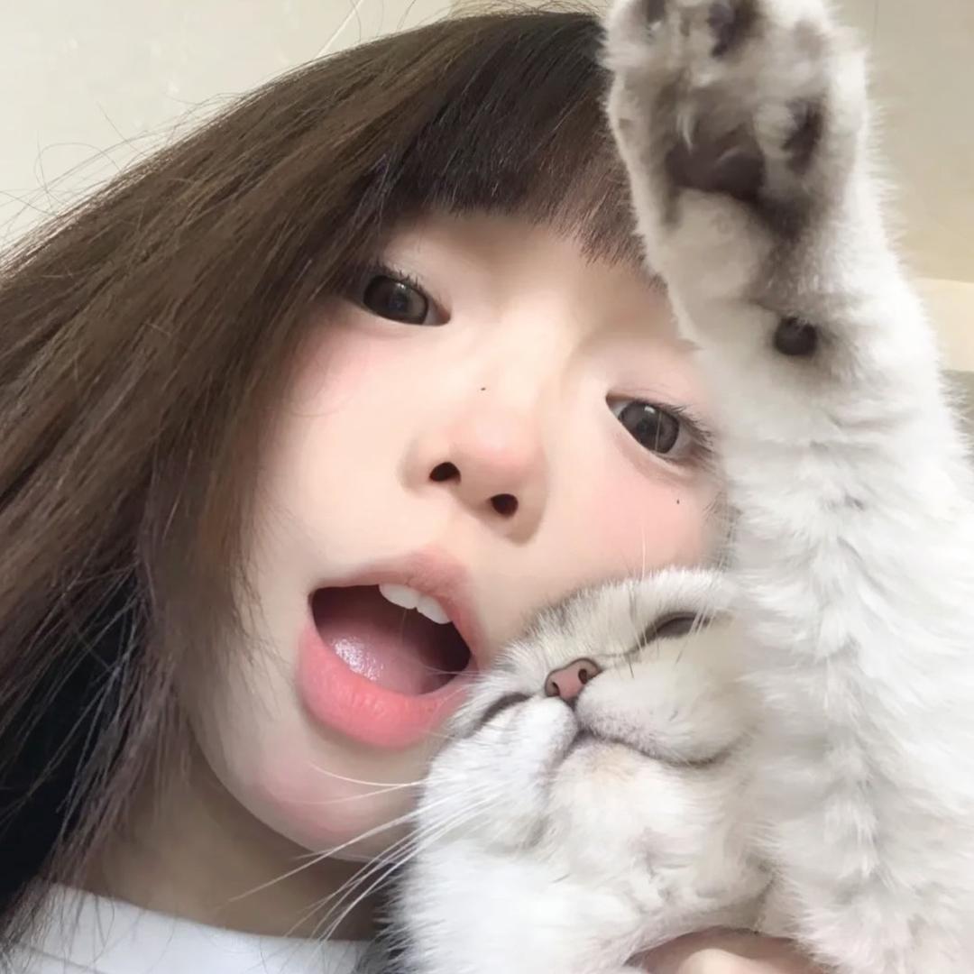 陪小猫散步