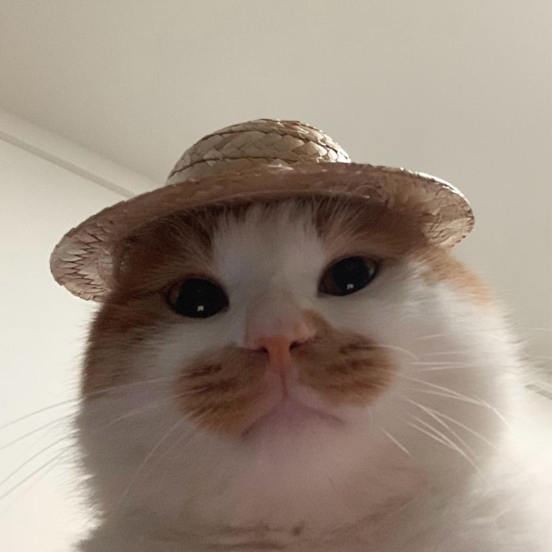 羊咩咩啦啦啦啦啦啦啦啦啦啦啦