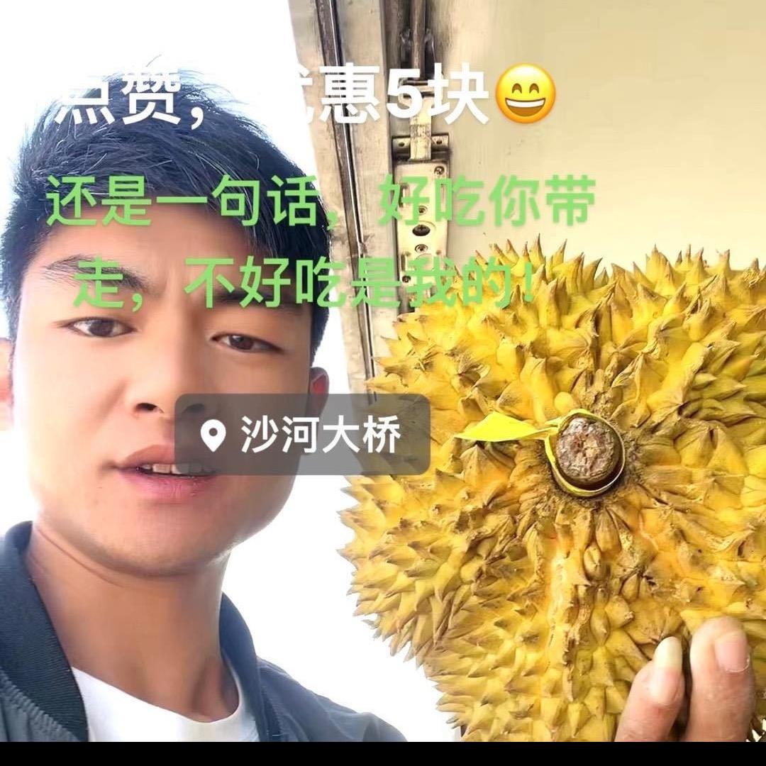 项城榴莲弟-小张