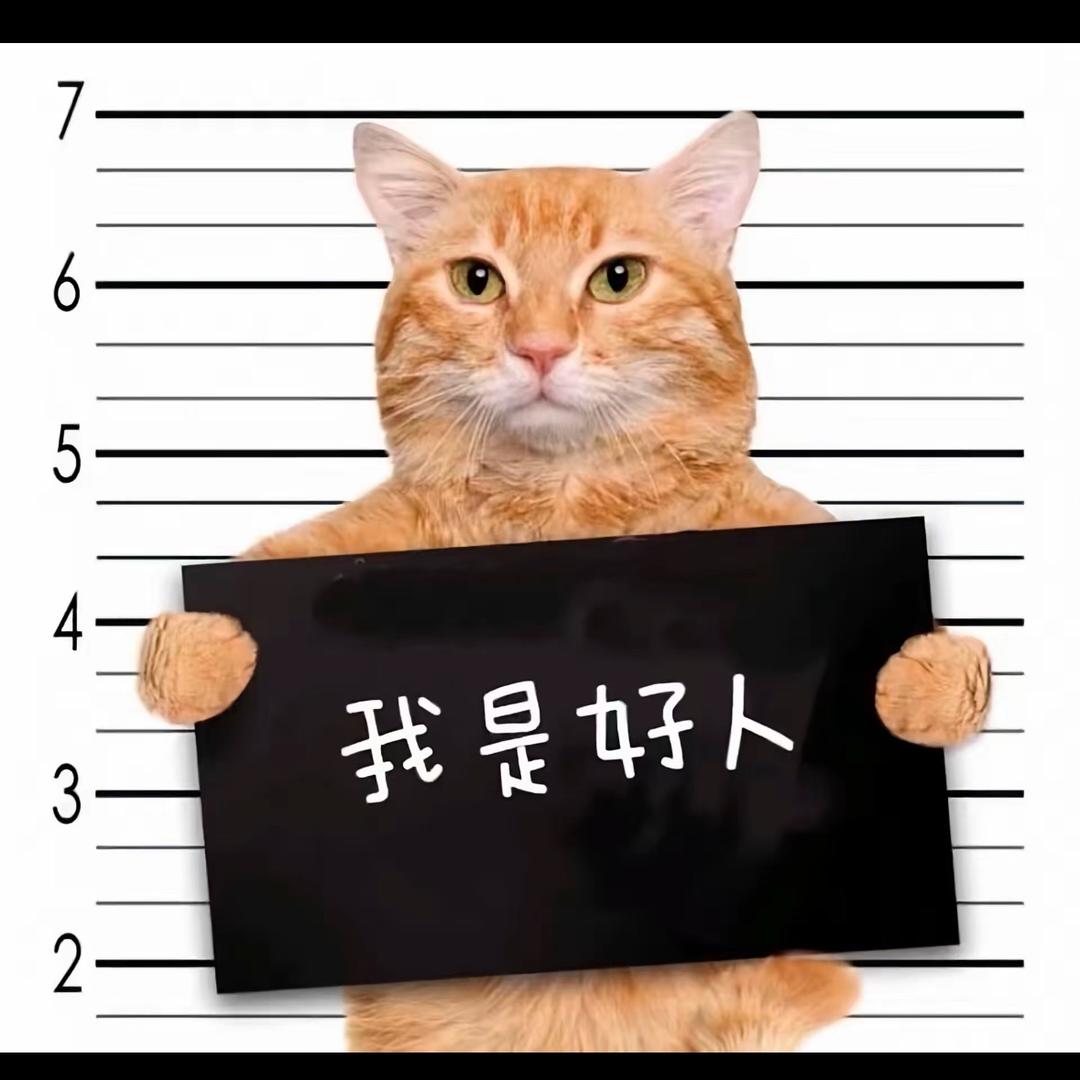 梦里和你和好
