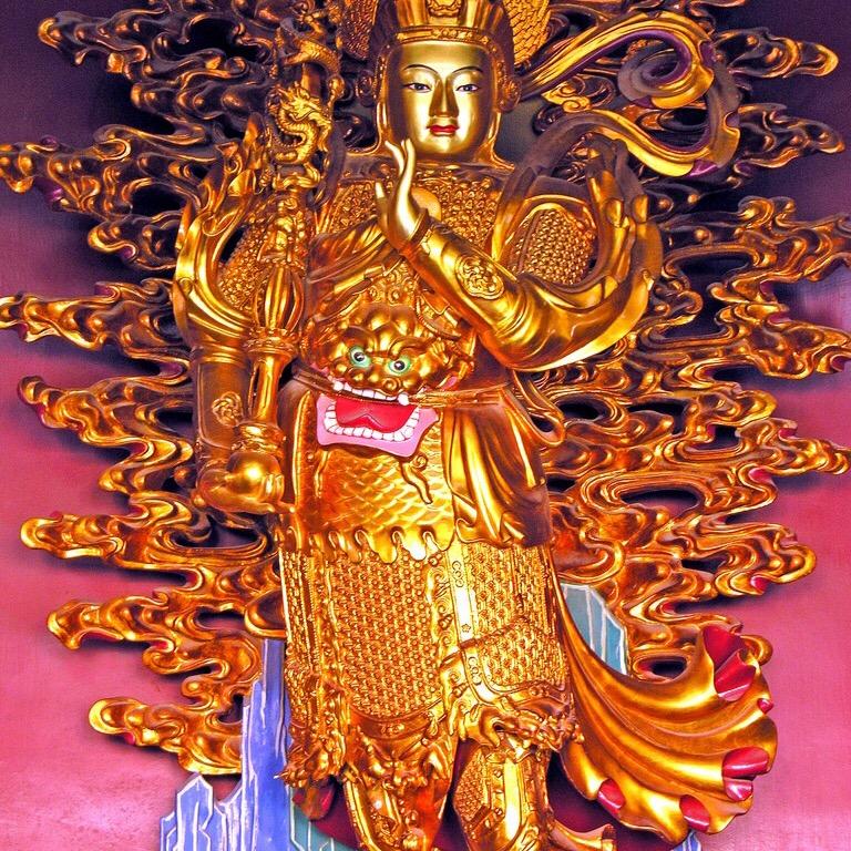 梧橦树（请勿连赞）