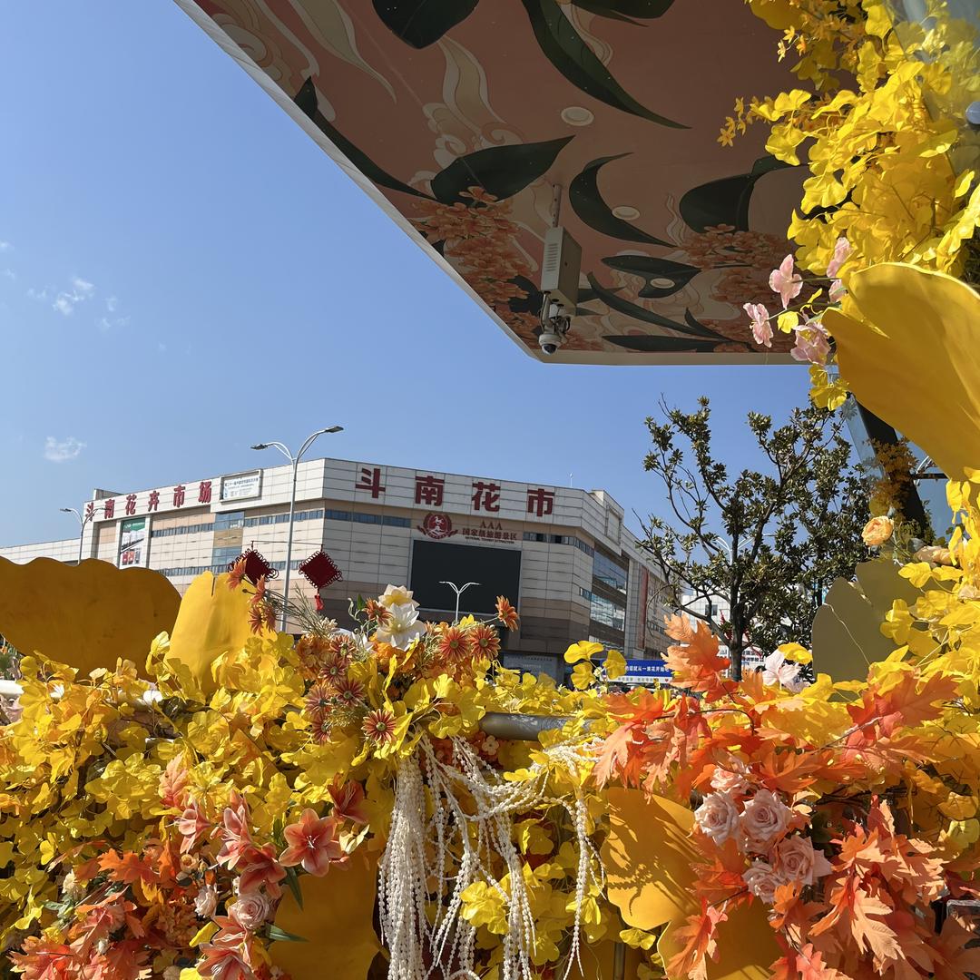 斗南花仓