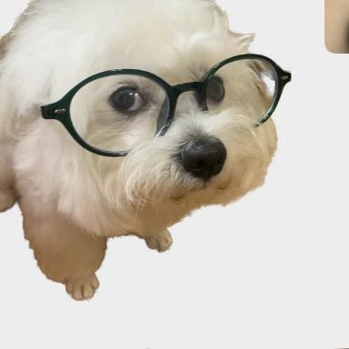 阿里国际站小张