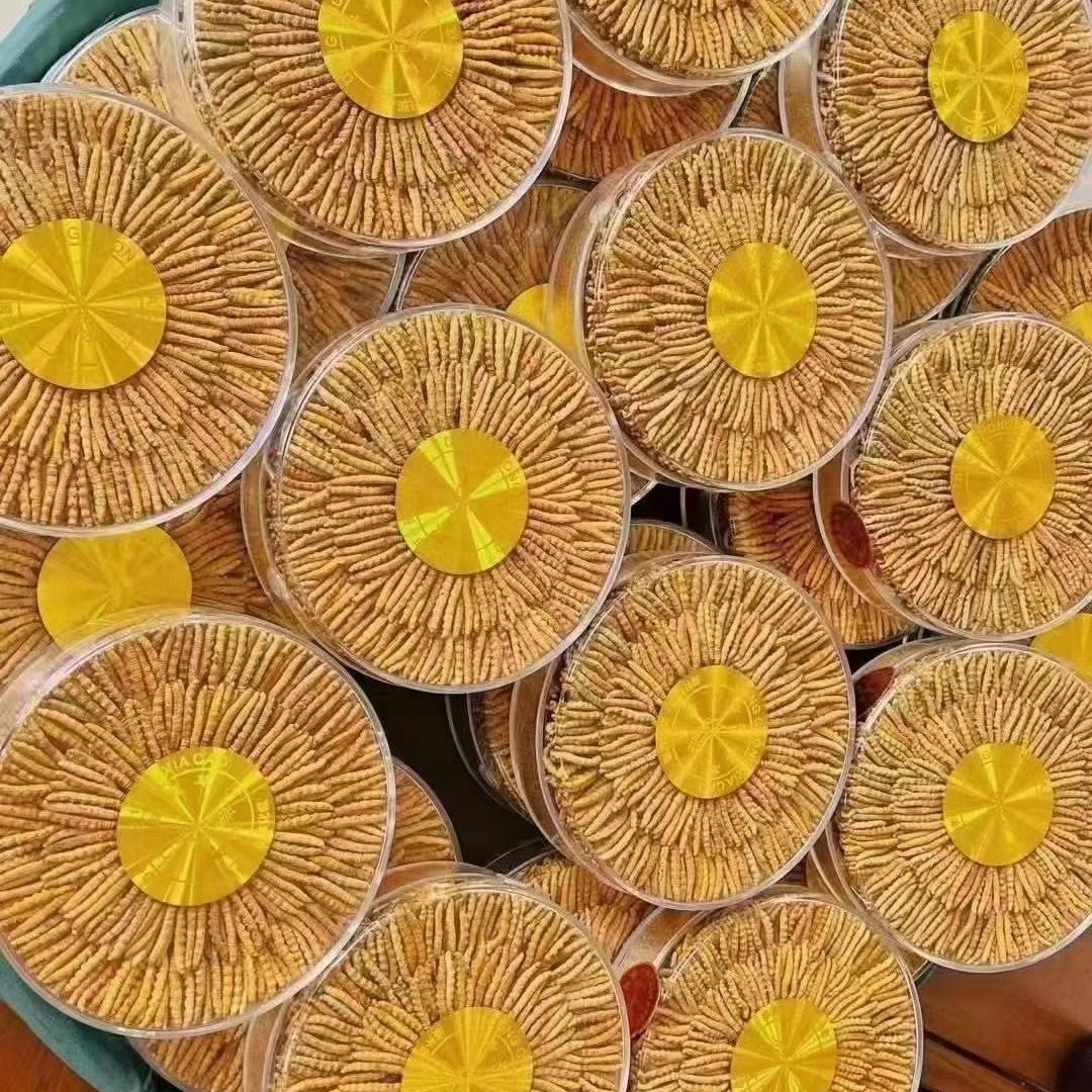 怀仁市一壶老八+一馆