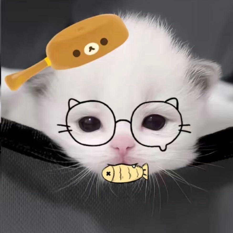 少羽奶奶
