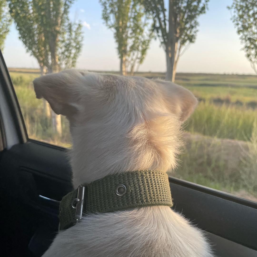 蛋蛋儿的妈妈们