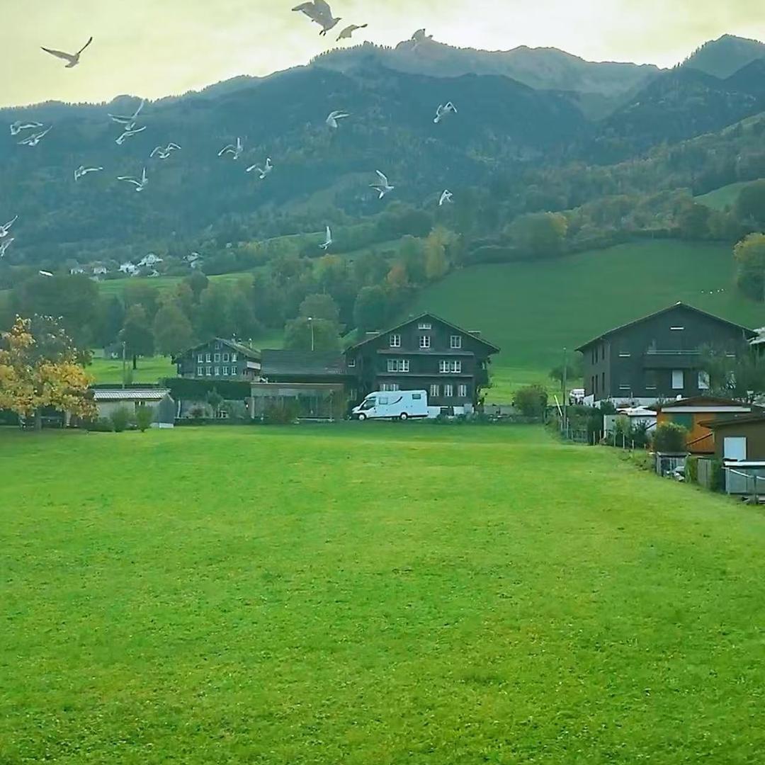 雪堂小菜园