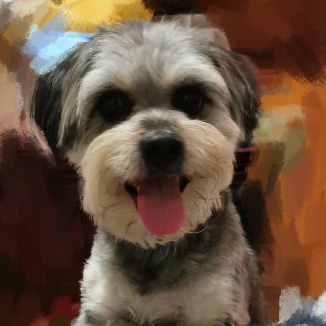 mOvOkie