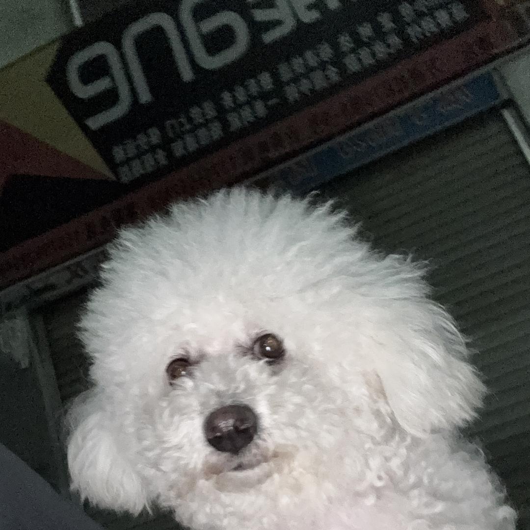 子瑜平价甄选