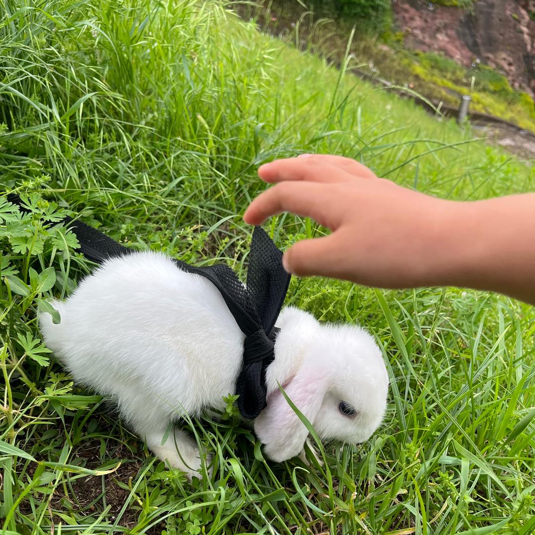 孙菲菲