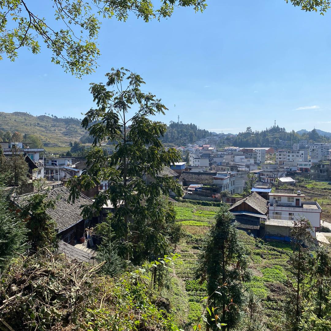 清风明月