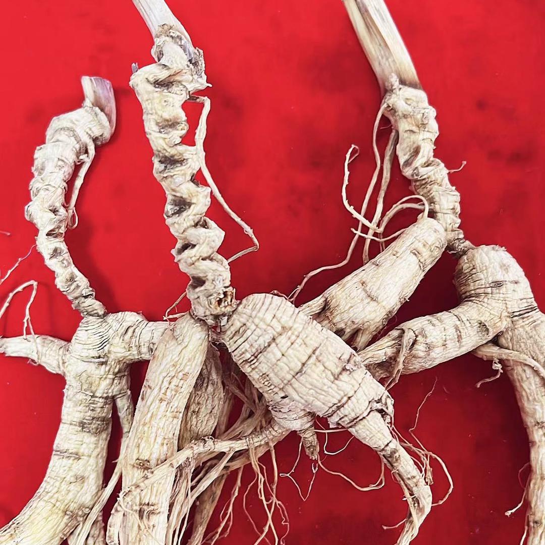 吉林集安朔源参行