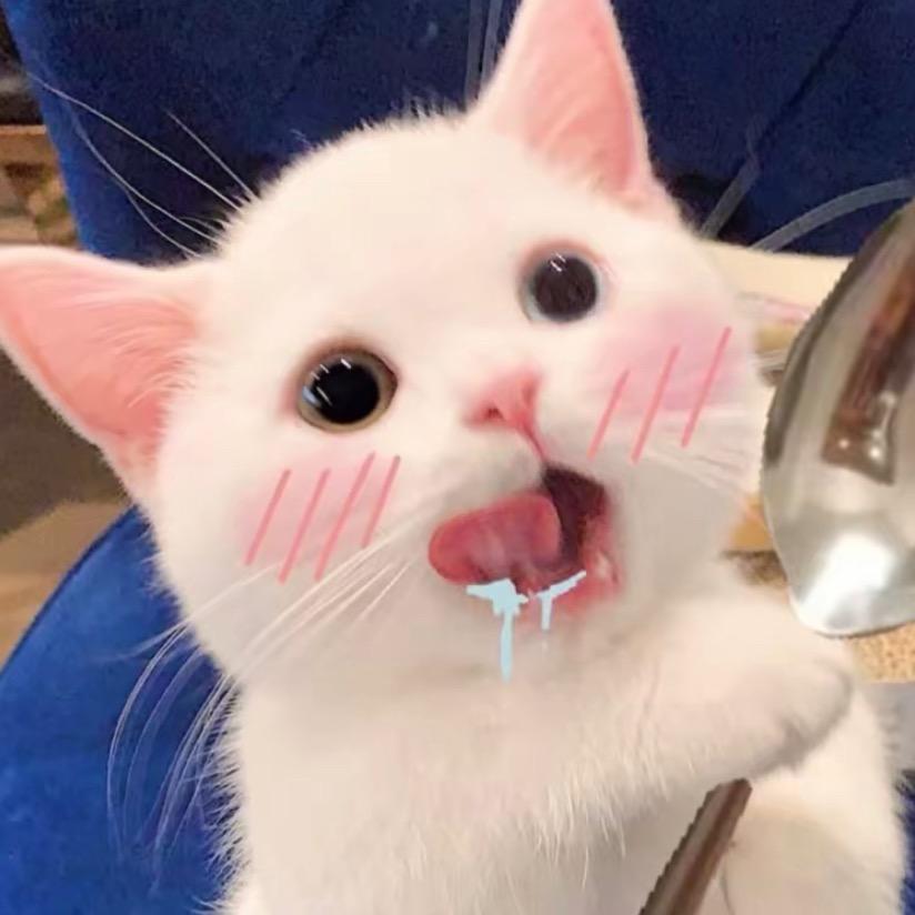 每天都很困   ㅤ