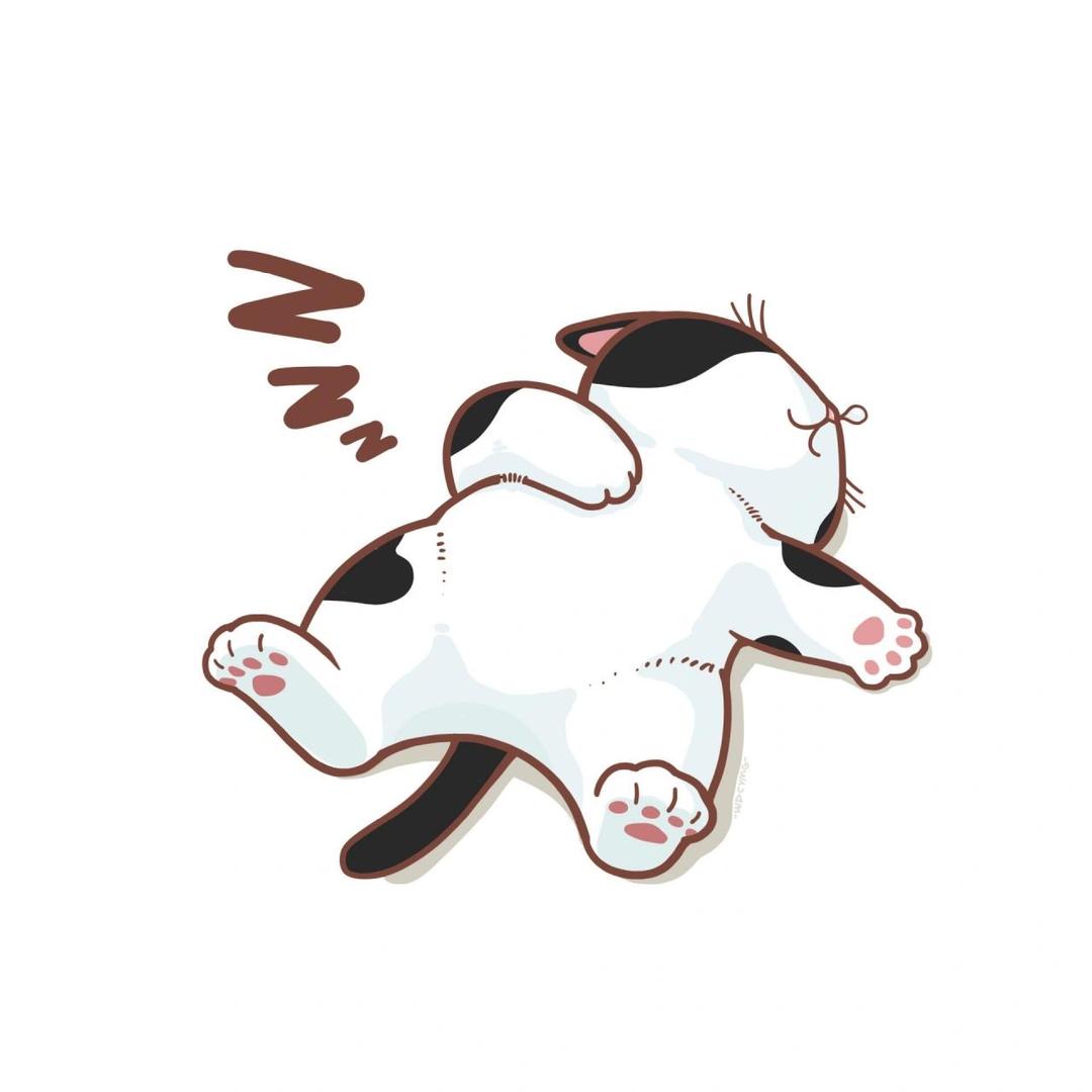 驴