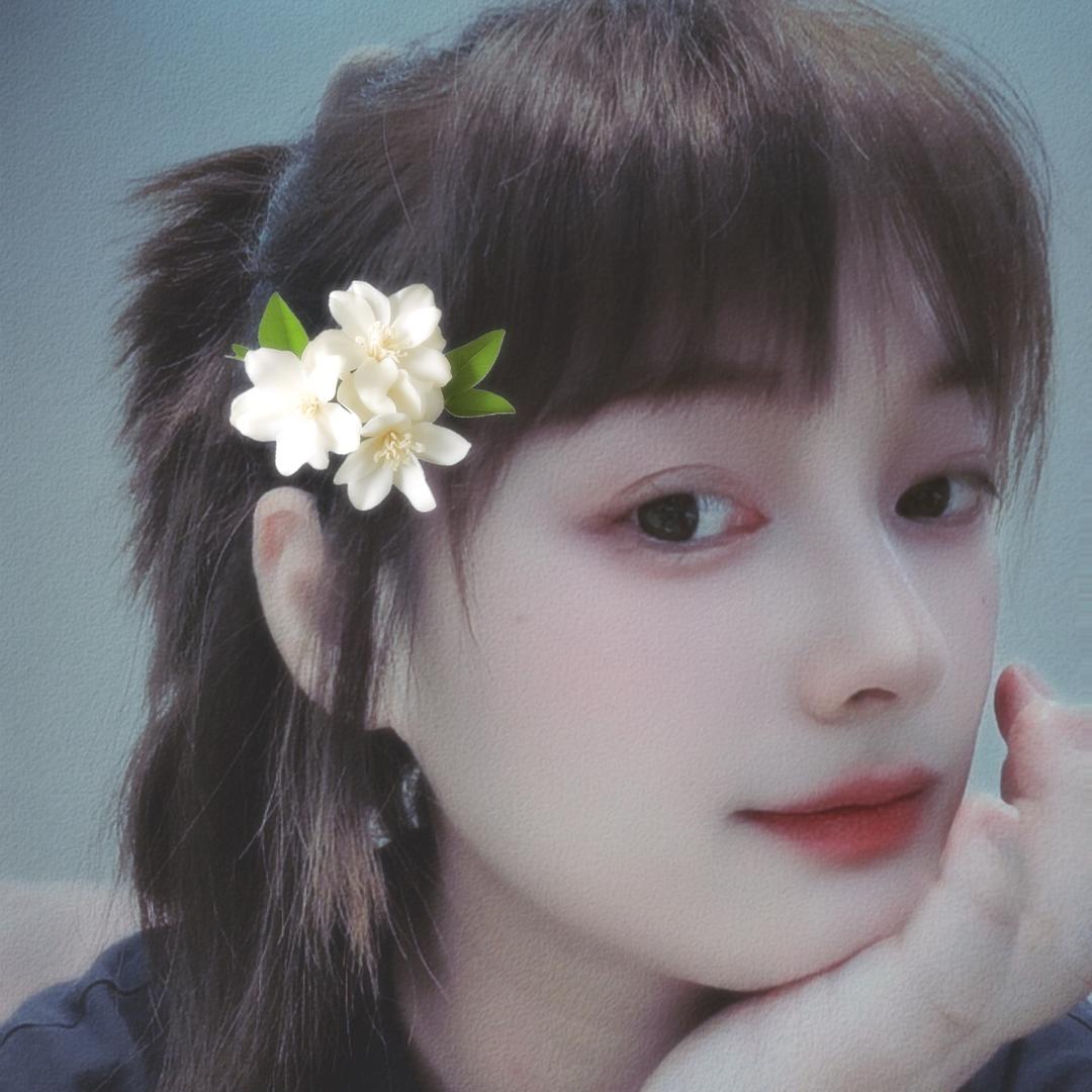 💋上海凤铝&龙图门窗厂
