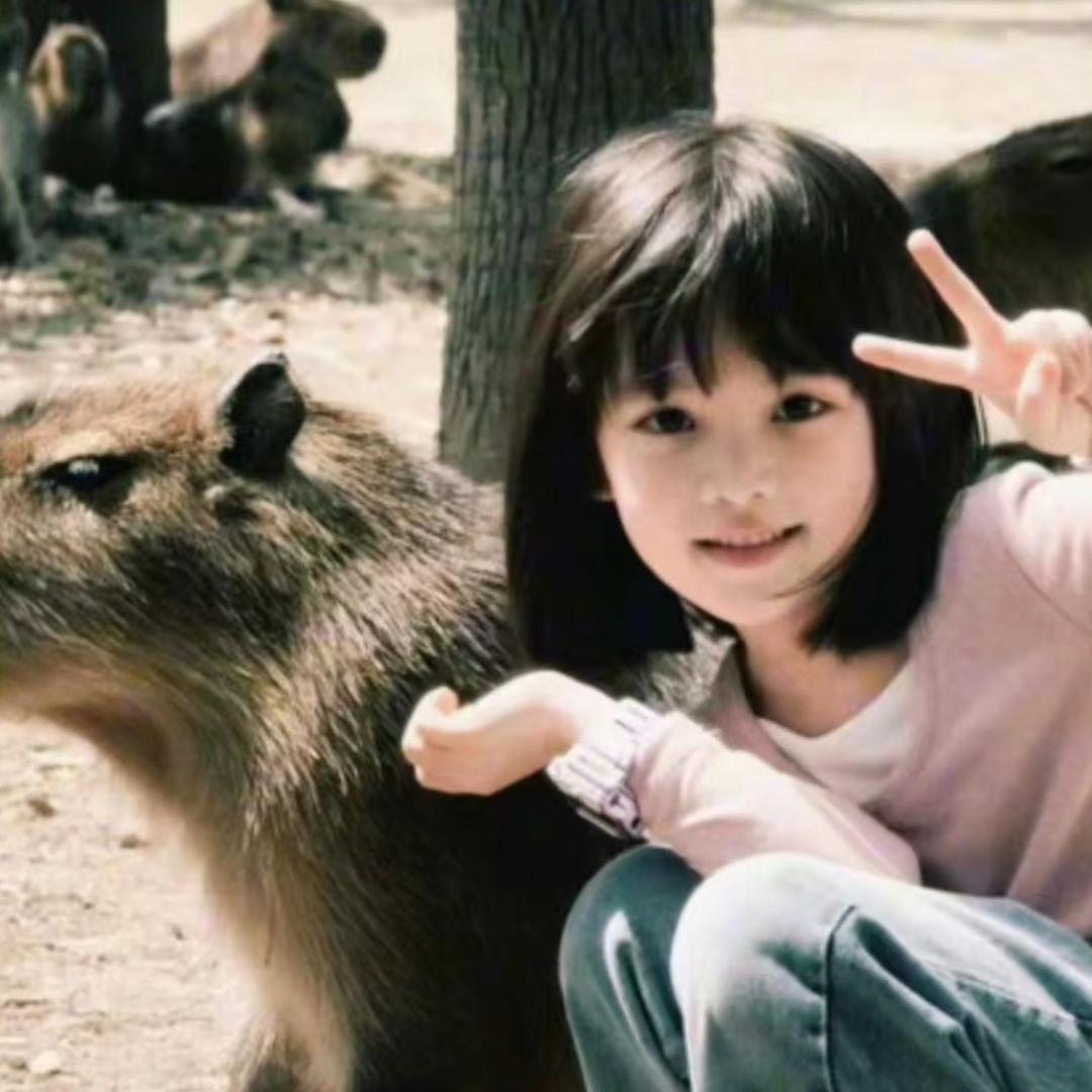 蒿蒿不想休息