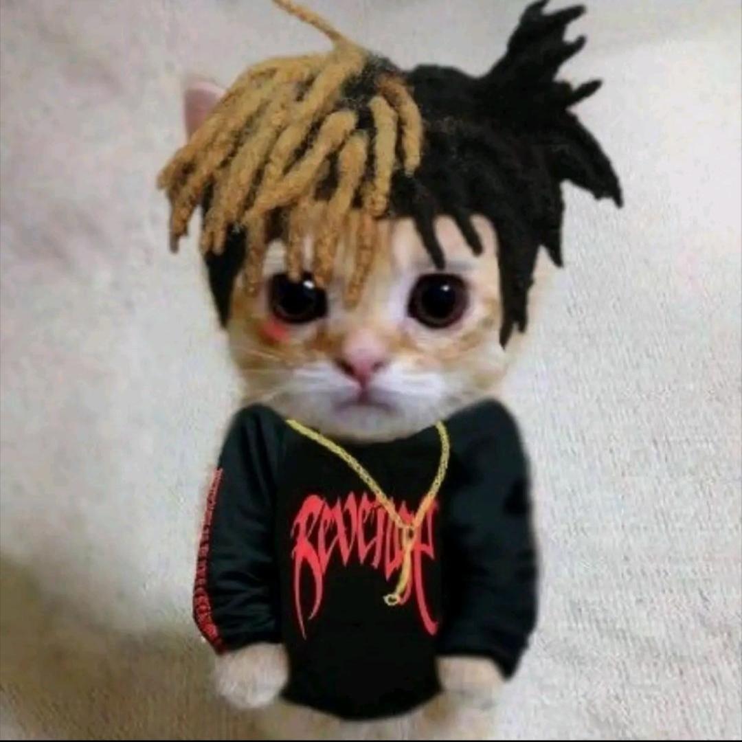 开始