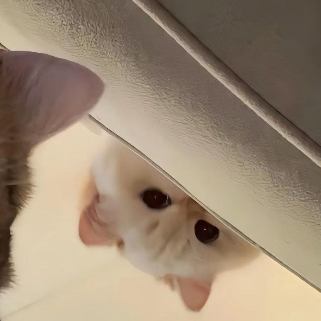 今天有点忙.
